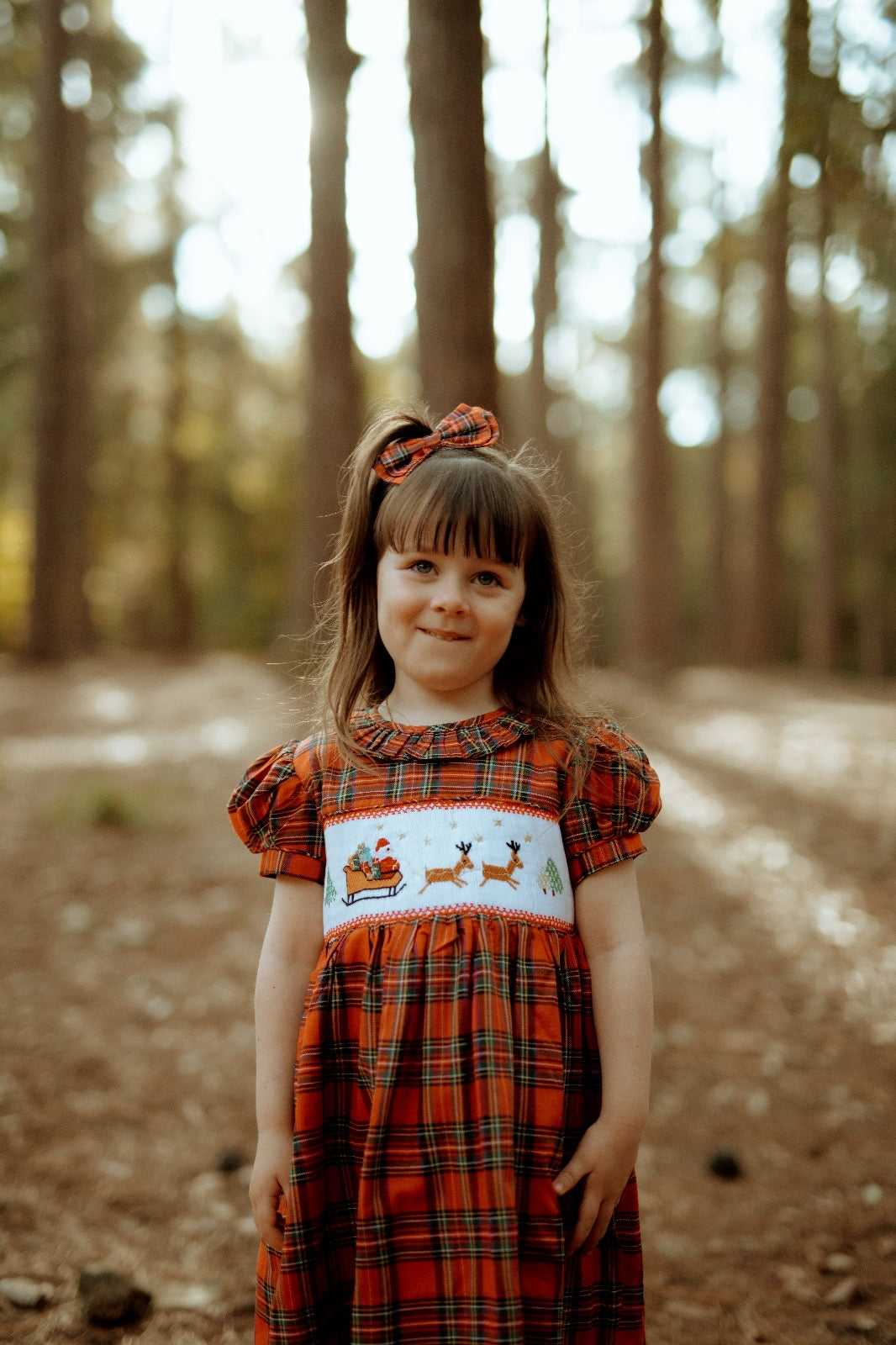 Christmas Eve Smocked Dress