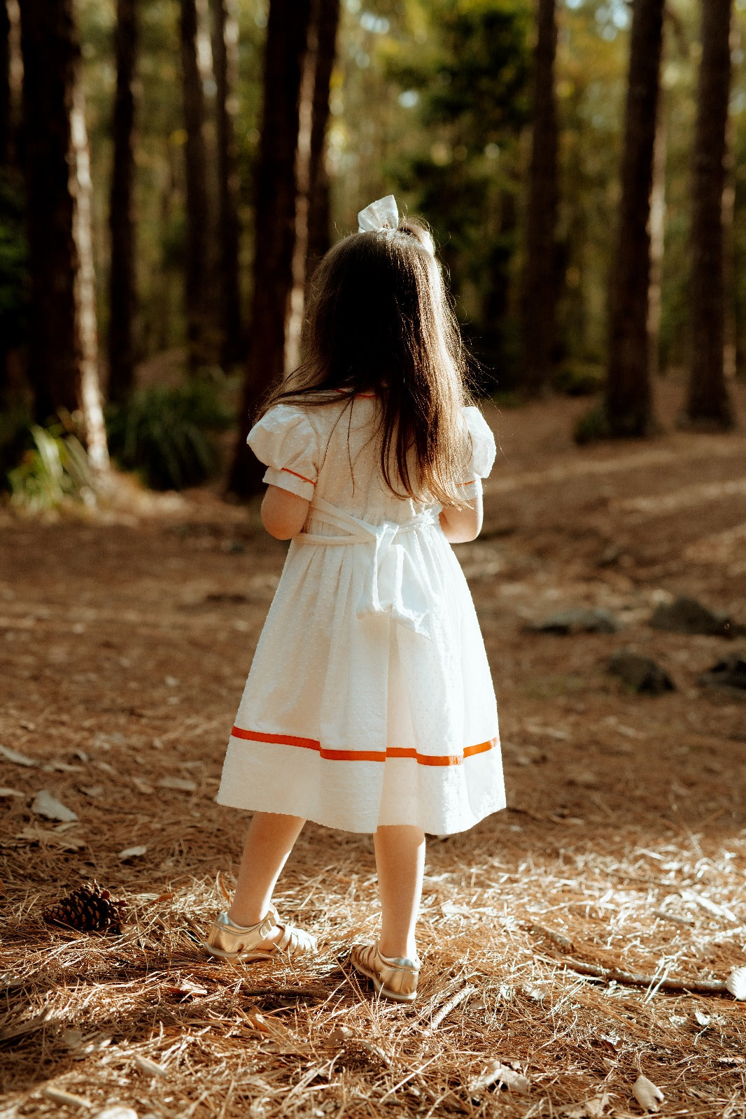 Sugar Plum Christmas Dress (Pre-Order)